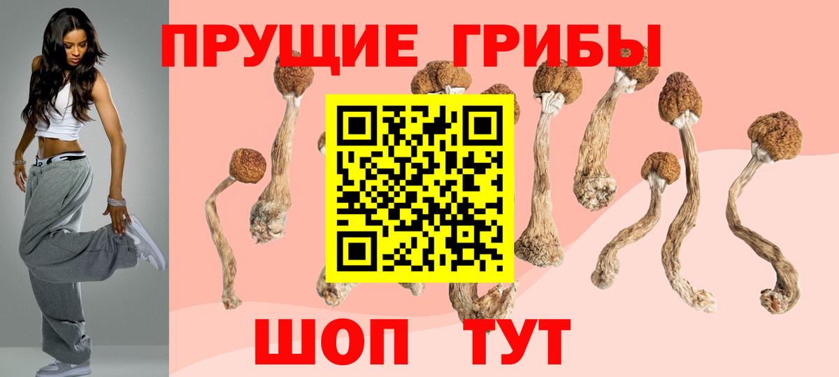 Псилоцибиновые грибы ЛСД  наркошоп  Липецк  Вход с VPN 